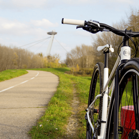TrueBike-ALLROAD-36-inch-wheeled-bicycle-ordering